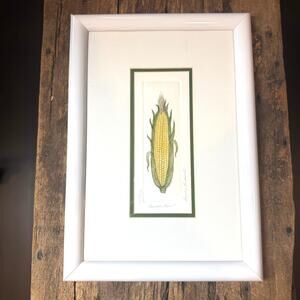 Barbie Tidwell “Tender Ears” Hand-Signed & Numbered Etching – Framed Corn Print,